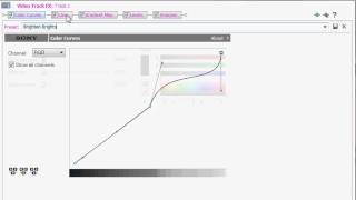 Sony Vegas || Coloring type #16