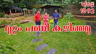 വീടിന്റെ പിൻവശം ഭംഗി കൂടി പോയോ...../Gardening /Family vlog /AJU'S WORLD