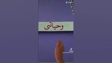 اللى طلبت فيديو باسم رقيه 