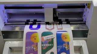What a Upgrade Absorbed Auto Sheet Feeding Die Cutter can do ?