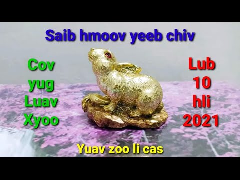 Video: Yuav Tsim Tsev Luav Li Cas