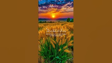 القرآن الكريم بصوت القارئ ياسر الدوسري #القرآن_الكريم #اكسبلور #لايك #راحة_نفسية