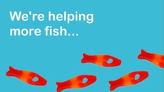Opening up 20,000km of England's rivers to help fish migrate