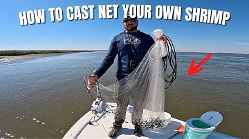 How To Find And Cast Net Shrimp In Your Area
