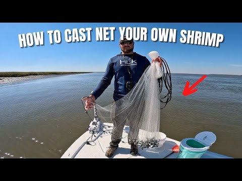 How To Find And Cast Net Shrimp In Your Area 