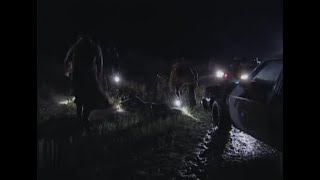 10 አመት ሙሉ ያልተገኘው ወንጀለኛ