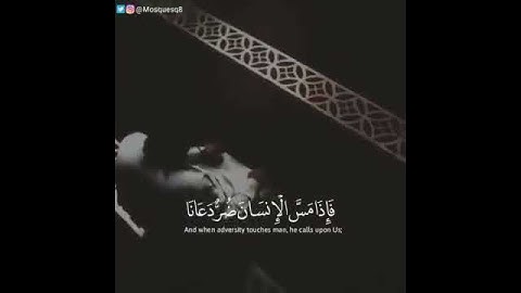 |فَإذَا مسَّ الإِنسَانَ ضُرٌّ دَعَانَا| تلاوة رائعة للقارئ حمزة الفار