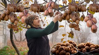 Village woman made healthy kiwi jam and kiwi dessert - Kiwi fruit harvesting in the village