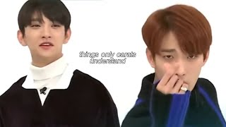 things only carats understand