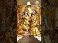 🔥 कान्हा - कान्हा बोले मन | Kanha Kanha Bole Man | Kanha Bhakti | #viral #radheRadhe  #shorts