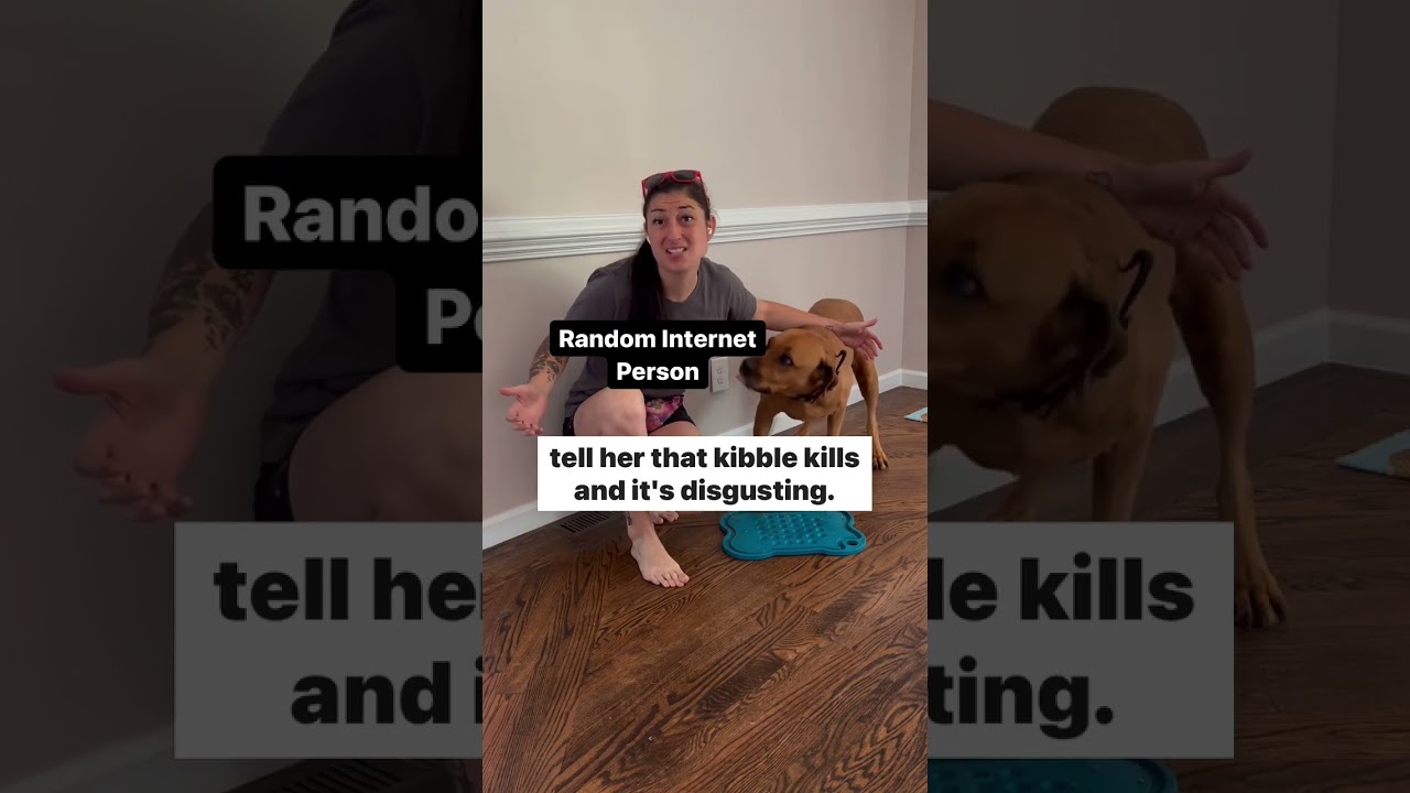 Super Foods to Improve Your Dog's Diet Super Foods to Improve Your Dog's Diet