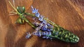 ラベンダーのサシェの作り方 ラベンダーポプリ はぎれ活用 簡単に作れます Making Lavender Sachets Youtube