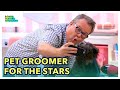 Eric Stonestreet Learns Dog Grooming! | The Secret Life of Pets | Bonus Feature Spotlight