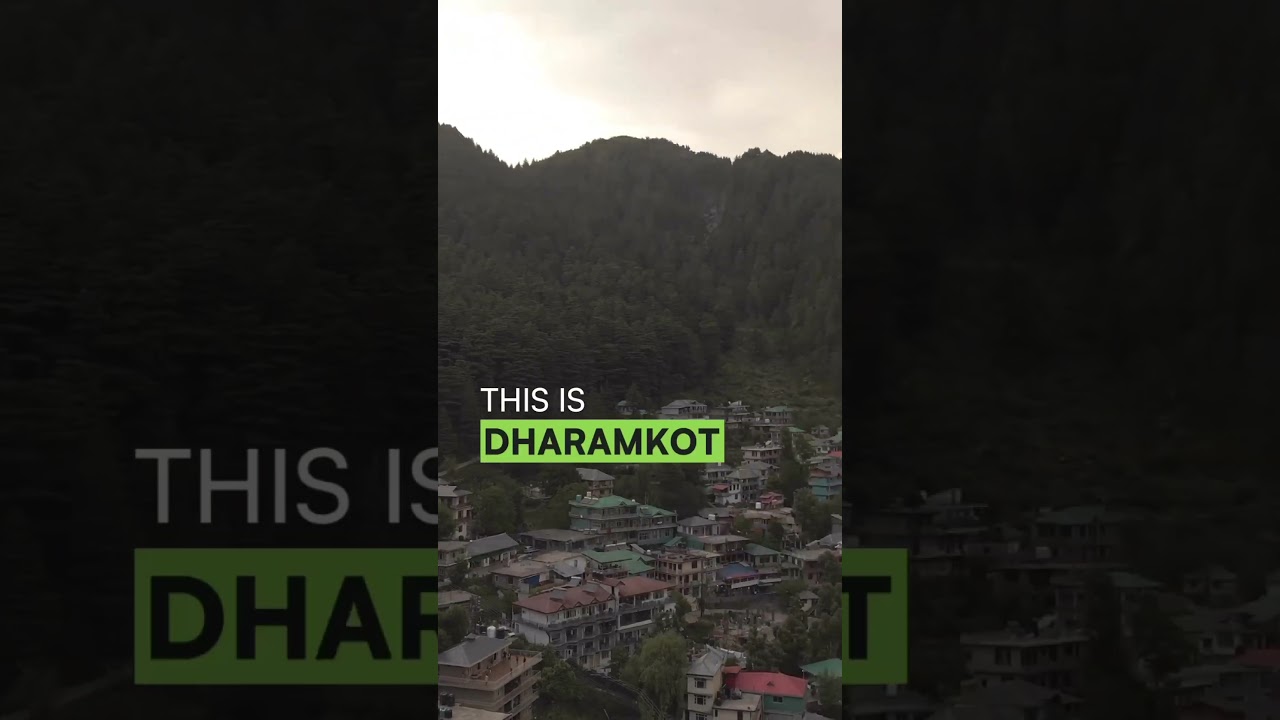 You're a digital nomad in Dharamkot India