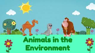 Animals in the Environment  Science for Kids | @PrimaryWorld