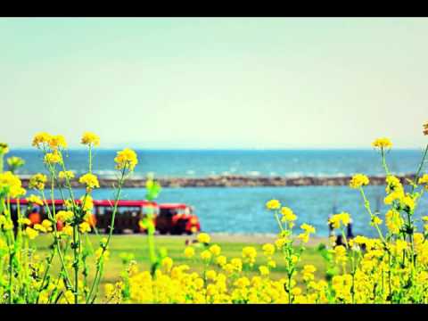風になる / つじあやの（こっそり弾いて歌ってみました。）
