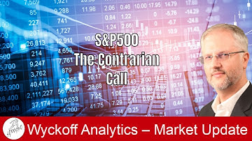 S&P - The Contrarian Call - Wyckoff Market Discussion on 11.19.2025