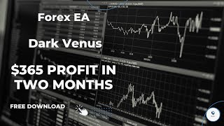 Forex Robot Dark Venus mt4 Settings