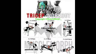 MuscleMorph