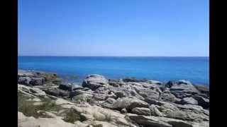 VID_20130419_111504