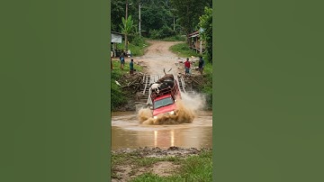 Cow Pickup Truck Crashes Into River! #viralvideo #shortvideo #dumptruck #funny #truck #car