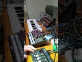 Behringer Grind + Roland P6 Jam-Bo-Bo-Bo-Bo-Ree All Sounds from Grind