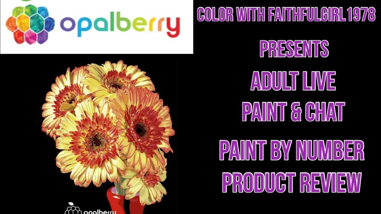 Paint By Numbers Chat Opalberry Review Youtube