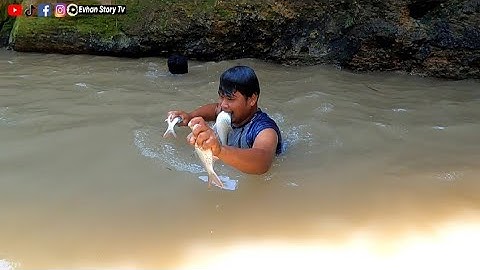Biawak dan Berang Berang Terancam Kelaparan Akibat Manusia Ikan ini