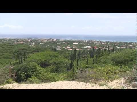 View from Savaneta, Aruba