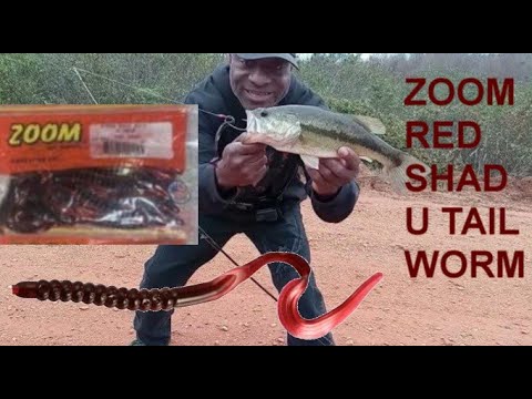 ZOOM RED SHAD U TAIL WORM 