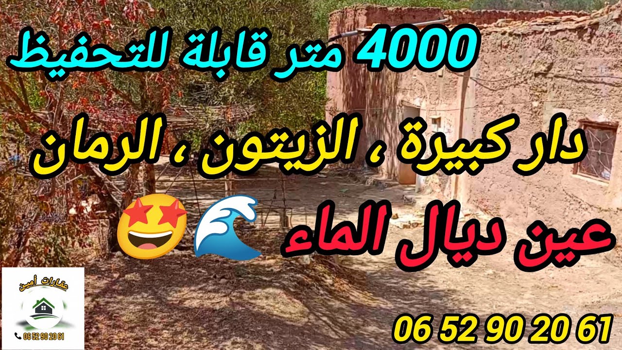 2025/8/31 : 4000 متر قابلة لتحفيظ بها دار كبيرة ، زيتون ، رمان و العين 🌊😍 بثمن 20 مليون . 0652902061