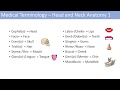 Medical Terminology | Lesson 6 | Anatomy and Anatomical Terms