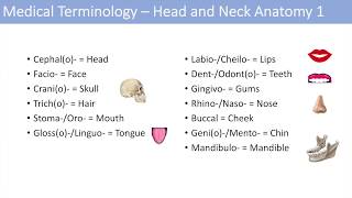 Medical Terminology | Lesson 6 | Anatomy and Anatomical Terms