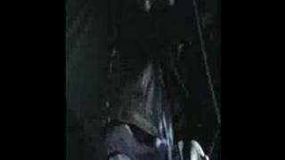 Watch Swingin Utters Reggae Gets Big In A Small Town video