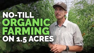 NoTill Farming and Market Gardening in Zone 5b, 5,200ft (FULL TOUR)