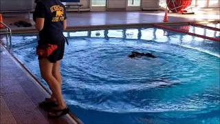 Combat Water Survival Training - Cal Army ROTC