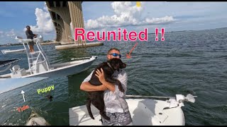 SAVED A PUPPY FROM DROWNING!
