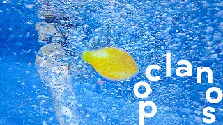 Mv Panema - Papaya Official Music Video