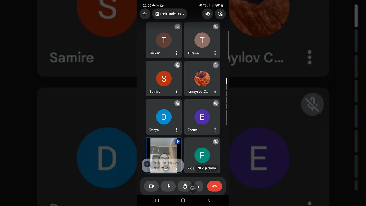 Viqotsi nəzəriyyəsi❤
