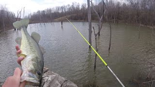 Bass Fishing Public Land Jesse Owen's State Park Southeastern Ohio Bass Tournament Ep.6