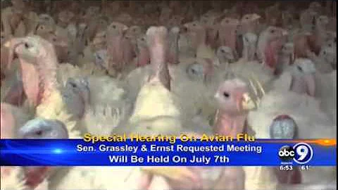 KCAU: Senate Ag Committee Hearing on Bird Flu Scheduled Following Grassley, Ernst Letter