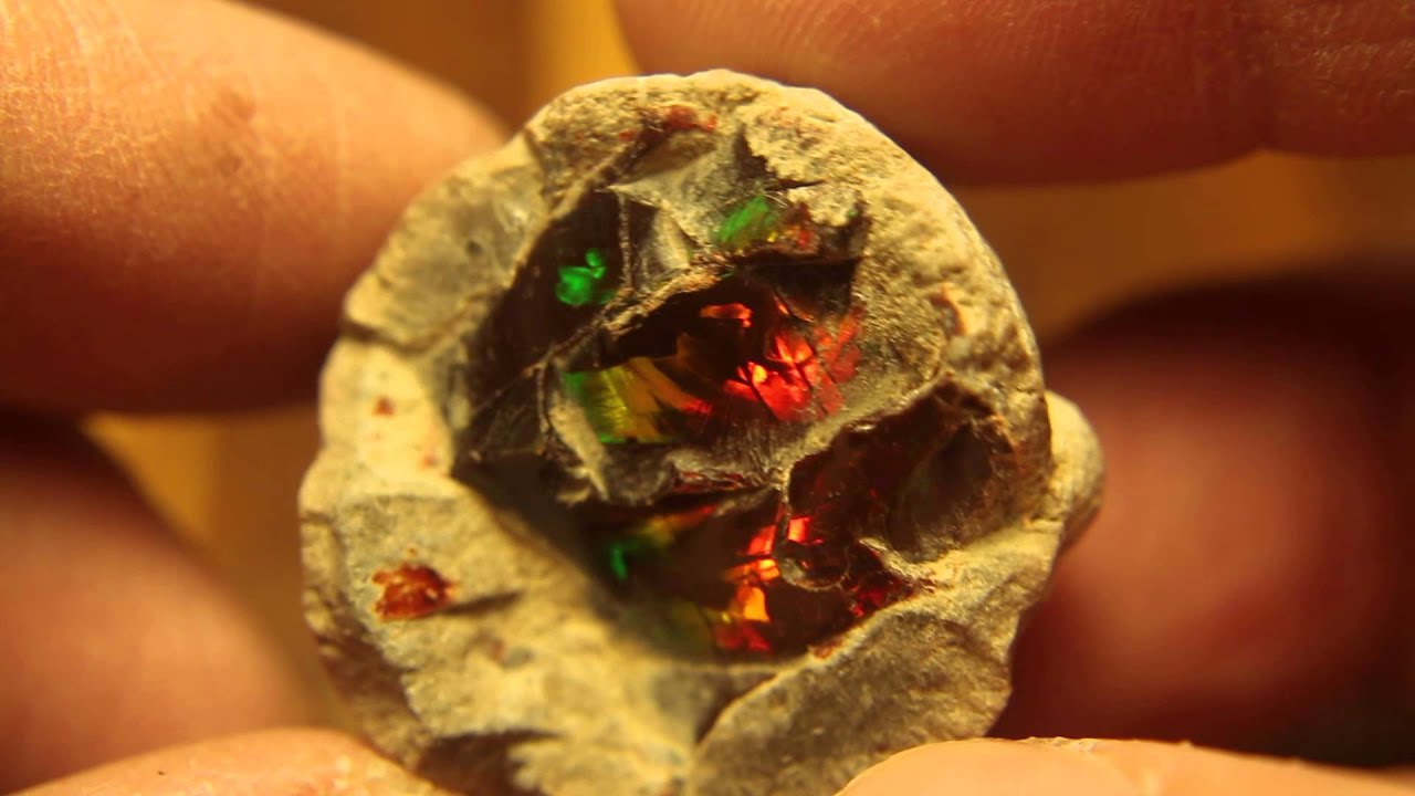 82ct Brilliant Shewa Ethiopia Opal Rough