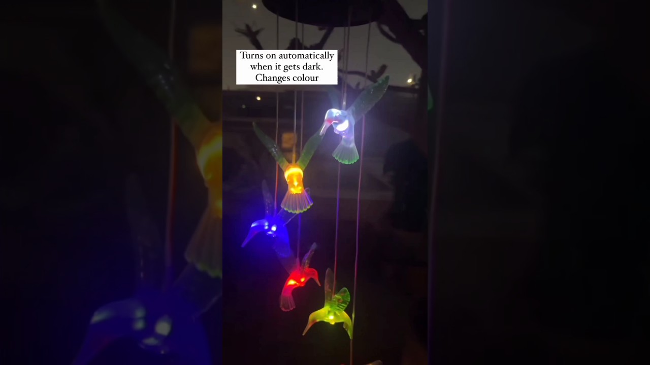 SOLAR POWER BIRD HANGING 🎊🎊🎊 | USEFUL | SUBSCRIBE 💕