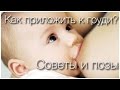 КАК приложить РЕБЕНКА к ГРУДИ правильно?! Трещины сосков!Профилактика!