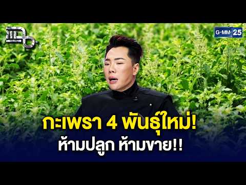 เอกชนจดทะเบียน 'กะเพรา' 4 สายพันธุ์ใหม่! ยันไม่กระทบประชาชน | Highlight แฉ 22 ต.ค. 69