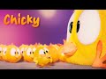 Where&#39;s Chicky? Funny Chicky 2023 | CHICKY FAMILY | Cartoon in English for Kids | New episodes