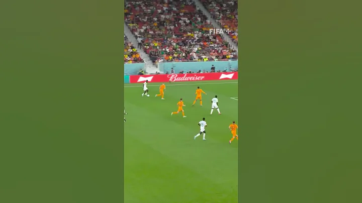 A dream debut for Andries Noppert! 🇳🇱 🧤 | #ShortsFIFAWorldCup - DayDayNews
