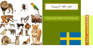 تعلم اللغة السويدية - تعلم مفردات شاملة عن انواع الحيوانات بالصوت والصورة