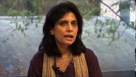 Experimental Animation - Introduction#experimentalanimation #creativeanimation #VisualStorytelling