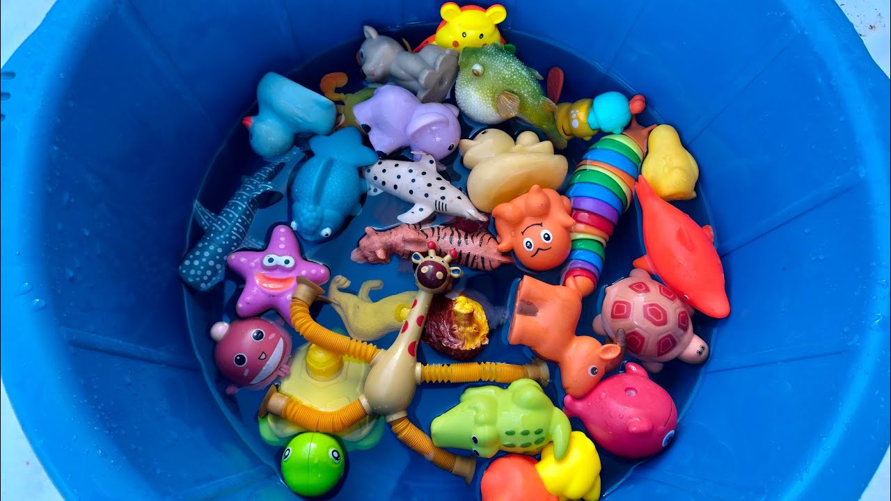 Learn Sea Animal Names and Facts| Learn Ocean Animal Cool facts for toddlers